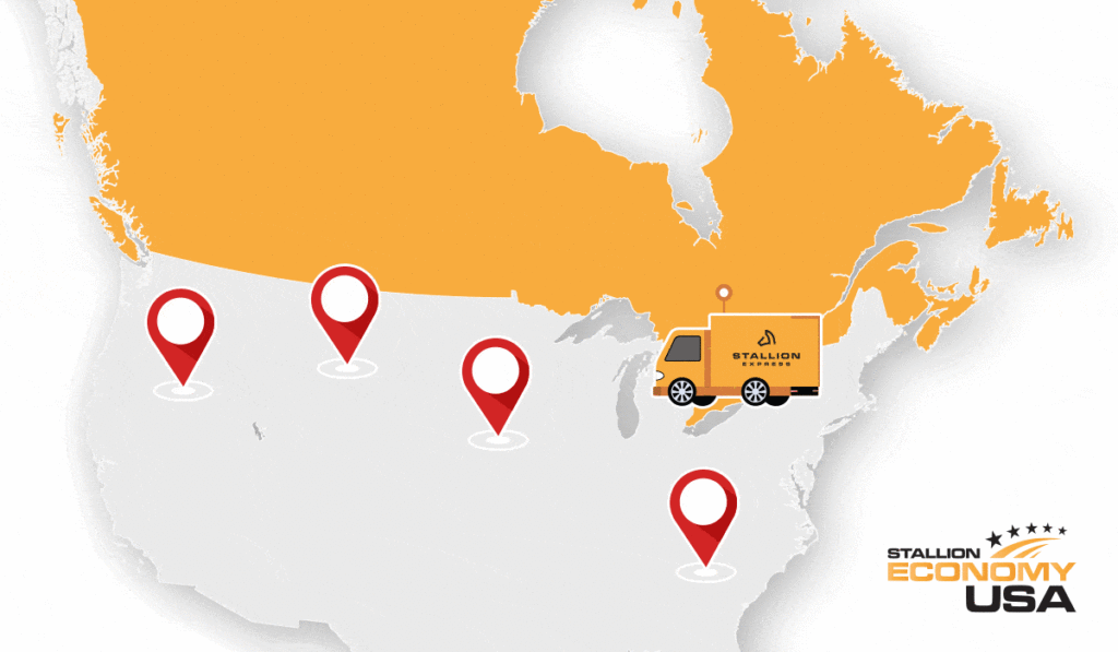 stallion economy USA