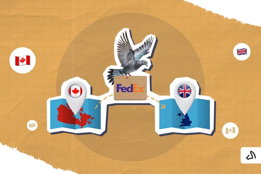 Gray pigeon carrying a parcel with FedEx logo between maps of Canada and the UK.