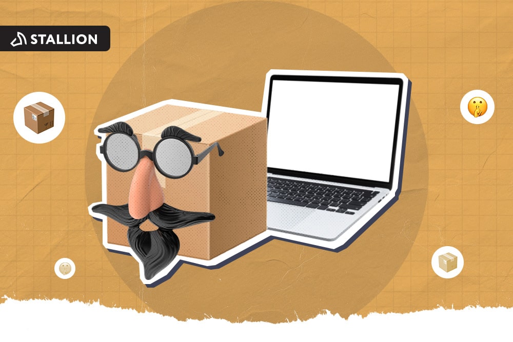 A box wearing a disguise and a laptop beside it