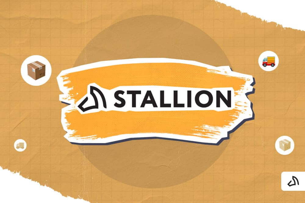 The Stallion logo on top of an orange paint stroke