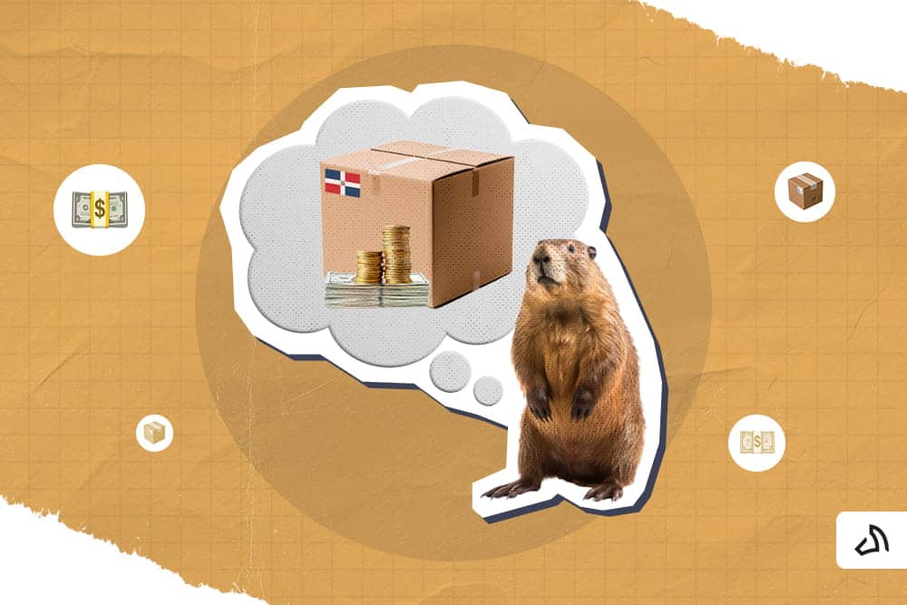 A beaver thinking of a package with the Dominican Republic flag